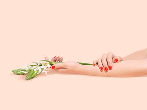 Botanical Hand Cream - Rosewater & Vanilla - Urban Naturals