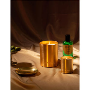 Ecoya Holiday Collection - Fresh Pine Goldie Candle