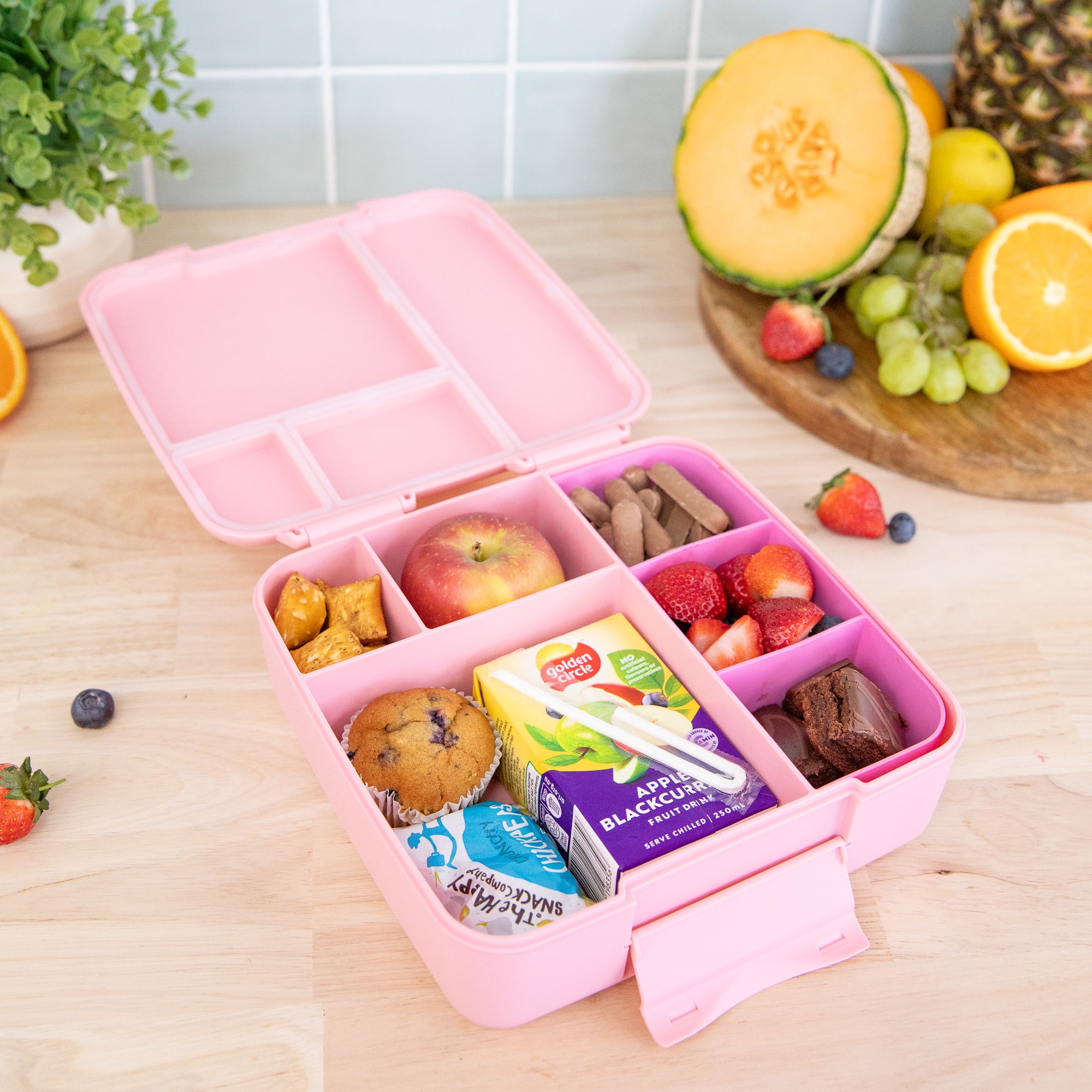 Montii Feast Lunch Box