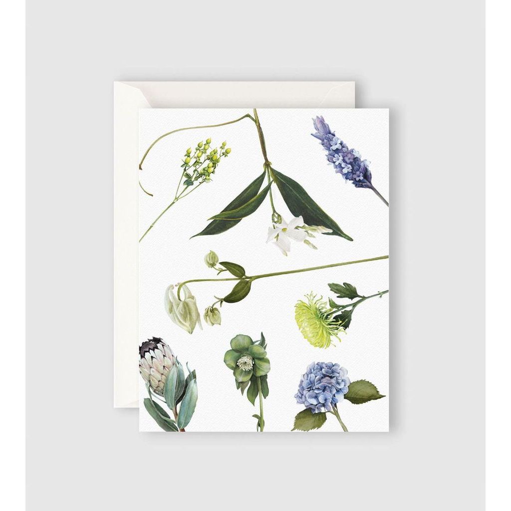 Father Rabbit Stationery - Botanical Card - Urban Naturals