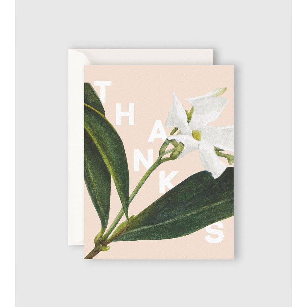 Father Rabbit Stationery - Jasmine Thanks Card - Urban Naturals