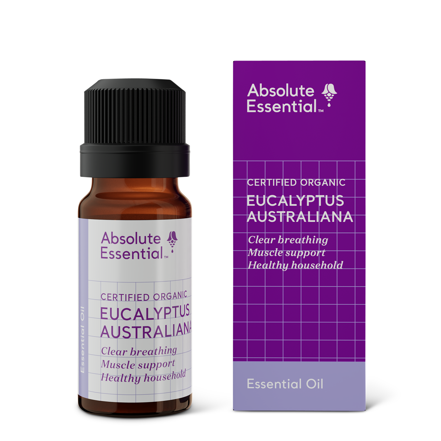 Absolute Essential - Eucalyptus Australiana Oil - Urban Naturals