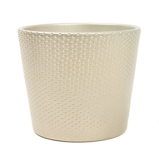 Line Ceramic Pot 15cm - Champagne Metallic - Urban Naturals