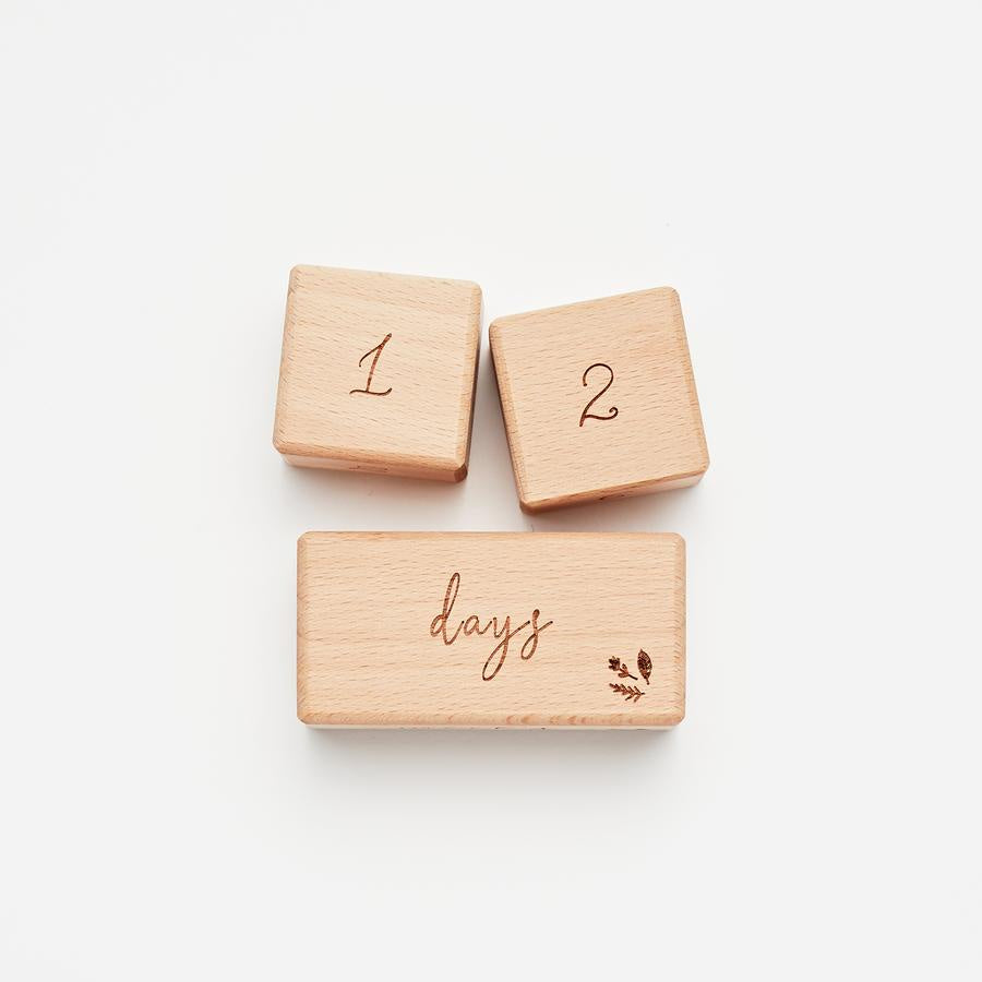 Over The Dandelions - Milestone Wooden Blocks - Urban Naturals