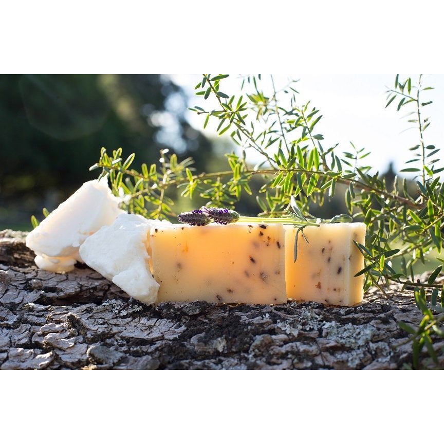 Nudi Point Body Bar - Healing Me Softly - Urban Naturals